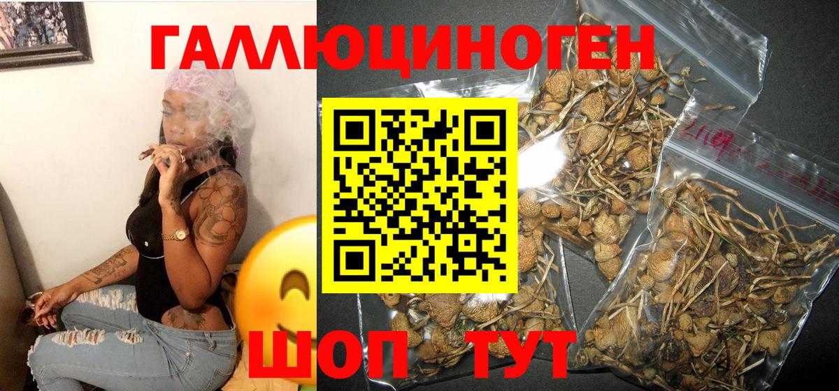 Псилоцибиновые грибы MAGIC MUSHROOMS Апатиты