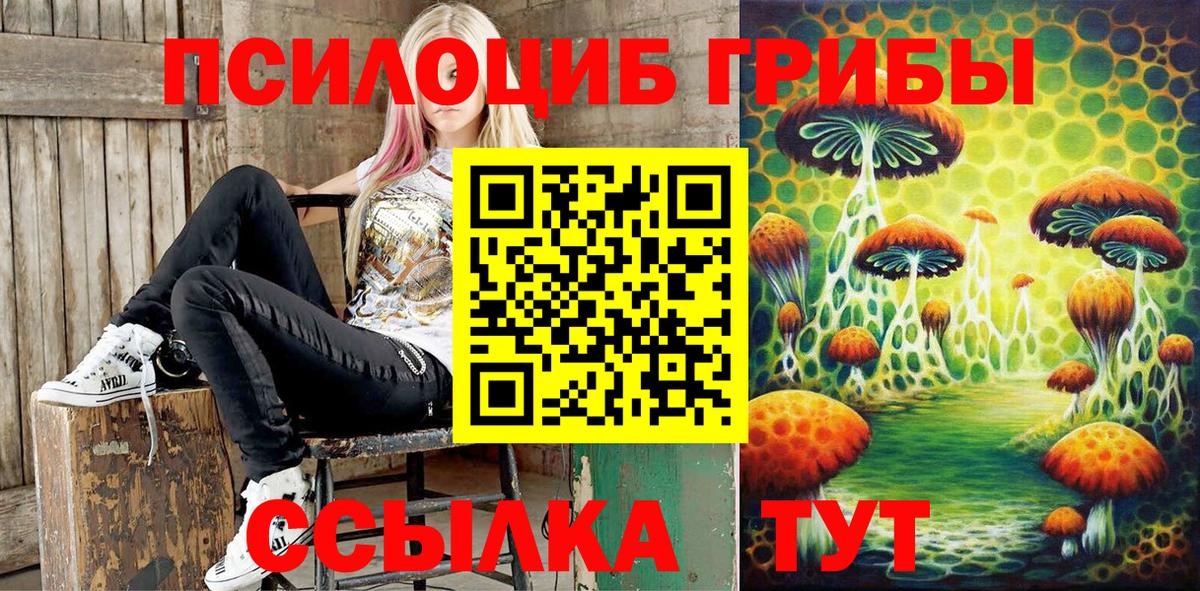 Псилоцибиновые грибы Cubensis  Вход с VPN  Галлюциногенные грибы Cubensis  Апатиты 